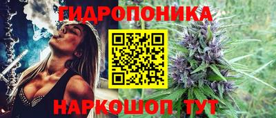 крисы Жуковский