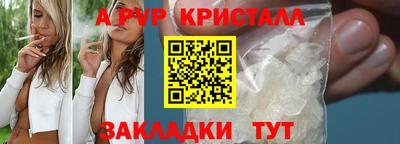 крисы Жуковский