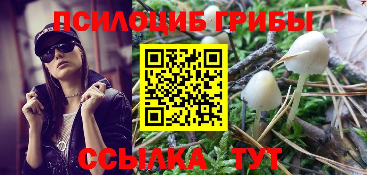 Псилоцибиновые грибы ЛСД Коммунар